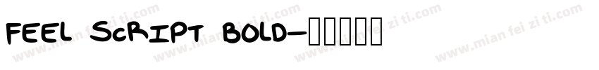 Feel Script Bold字体转换